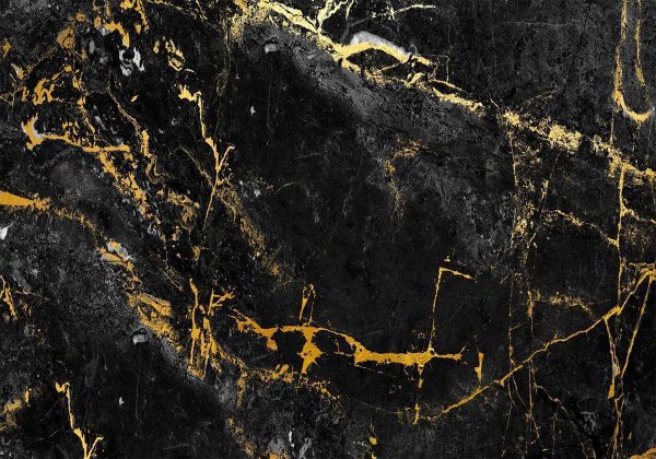 Wall Mural - Black Elegance