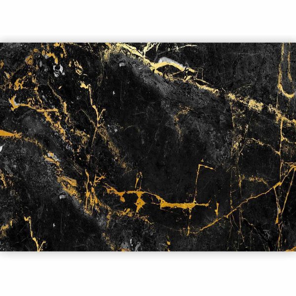 Wall Mural - Black Elegance