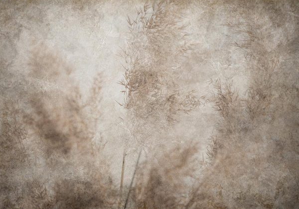 Wall Mural - Blown Away by the Wind