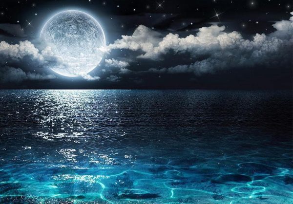Wall Mural - Blue Lagoon