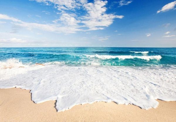 Wall Mural - By the sea