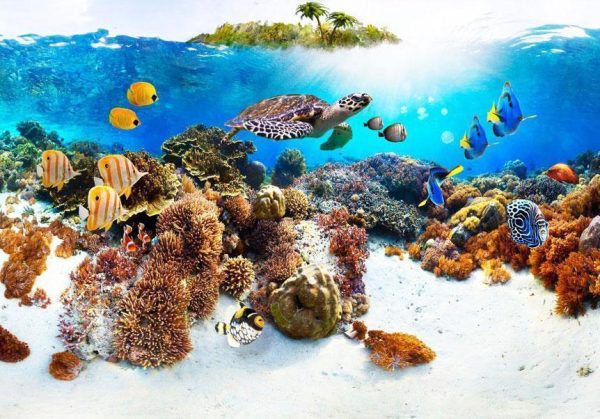 Wall Mural - Cay