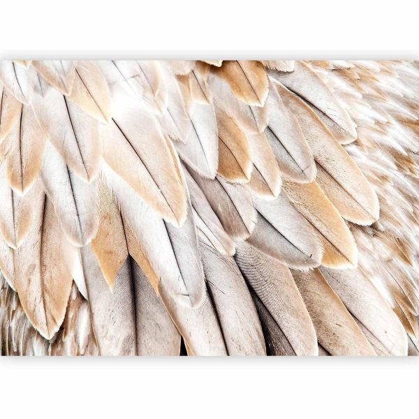 Wall Mural - Close-up of bird's wings - uniform close-up on beige bird feathers