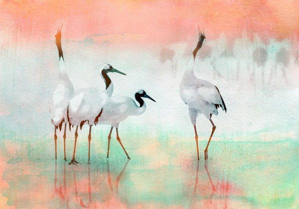 Wall Mural - Cranes in Pastels
