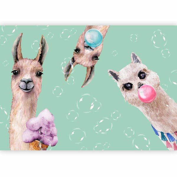 Wall Mural - Crazy Llamas