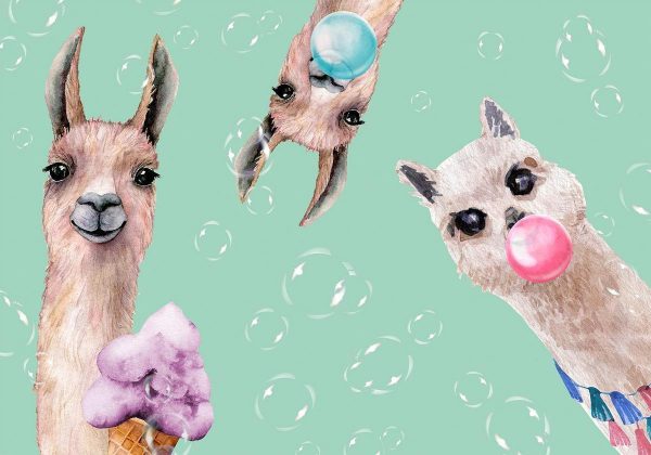 Wall Mural - Crazy Llamas