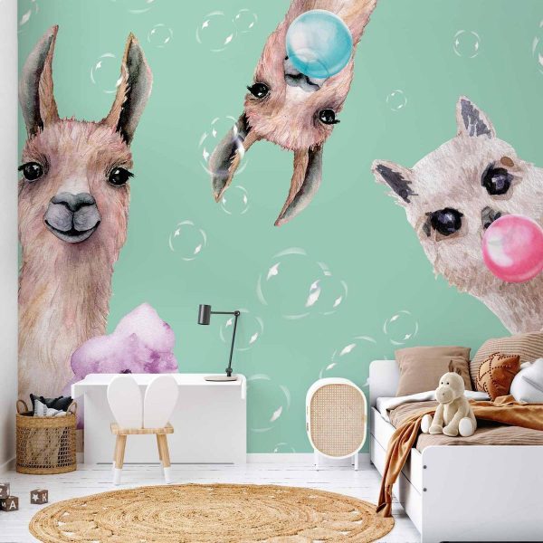 Wall Mural - Crazy Llamas