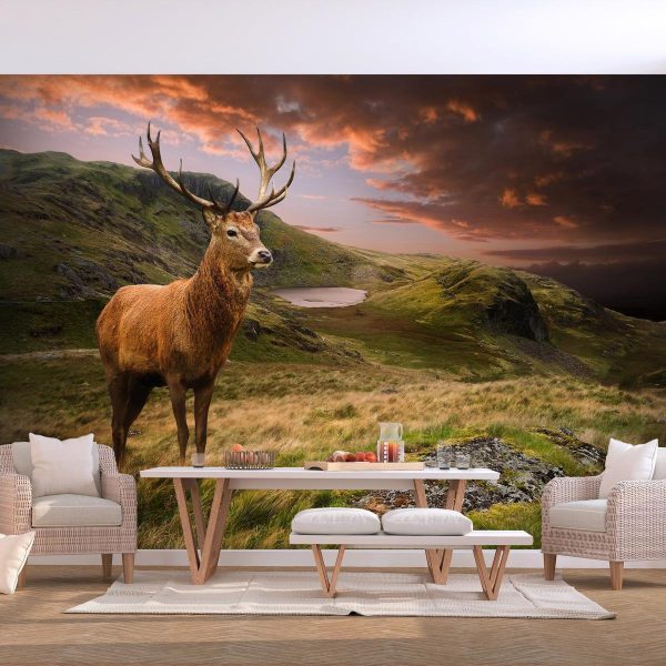 Wall Mural - Deer on Hill
