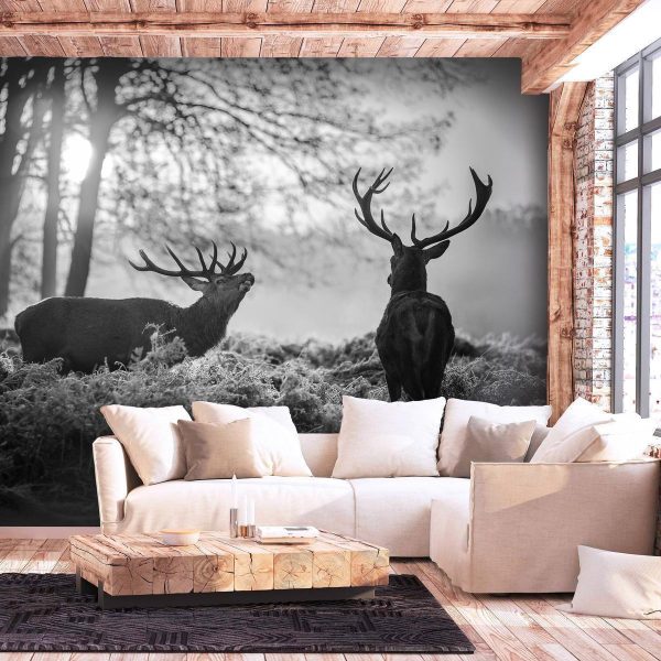 Wall Mural - Deers in the Morning