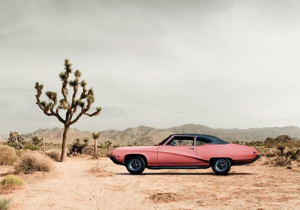 Wall Mural - Desert California