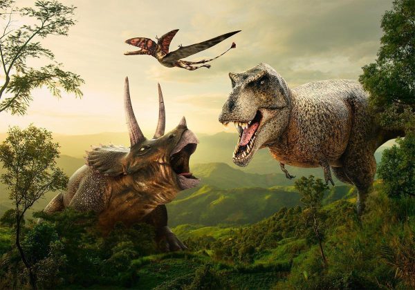 Wall Mural - Dinosaur Square
