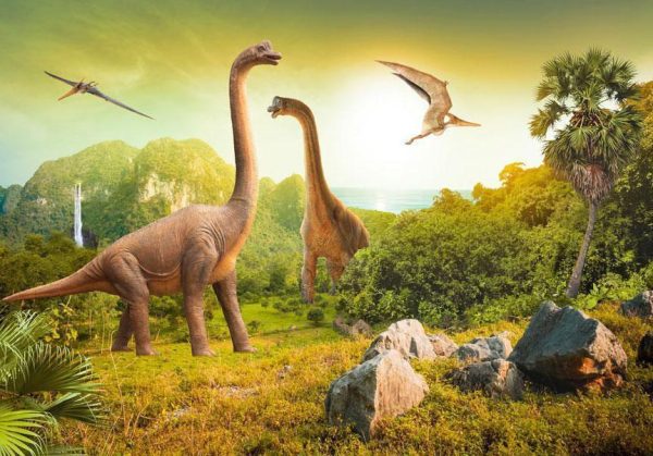 Wall Mural - Dinosaurs