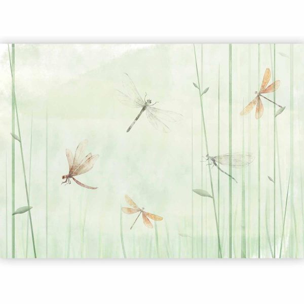 Wall Mural - Dragonflies in the Meadow