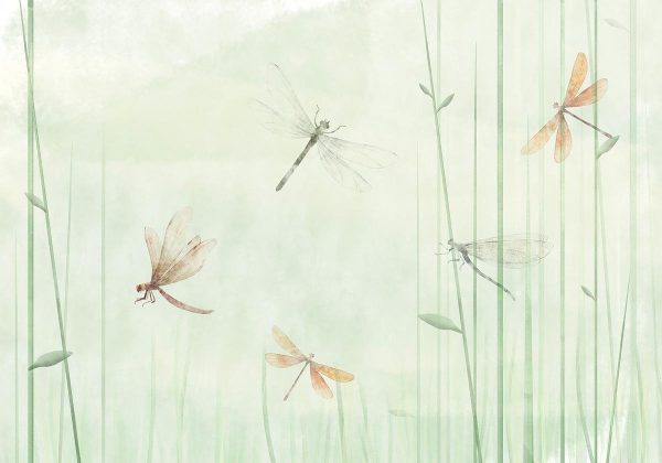 Wall Mural - Dragonflies in the Meadow