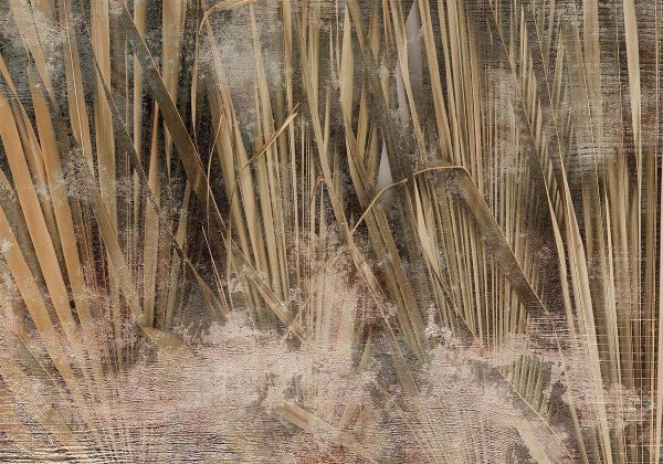 Wall Mural - Dry leaves - landscape of tall grasses in boho style with paint patterns