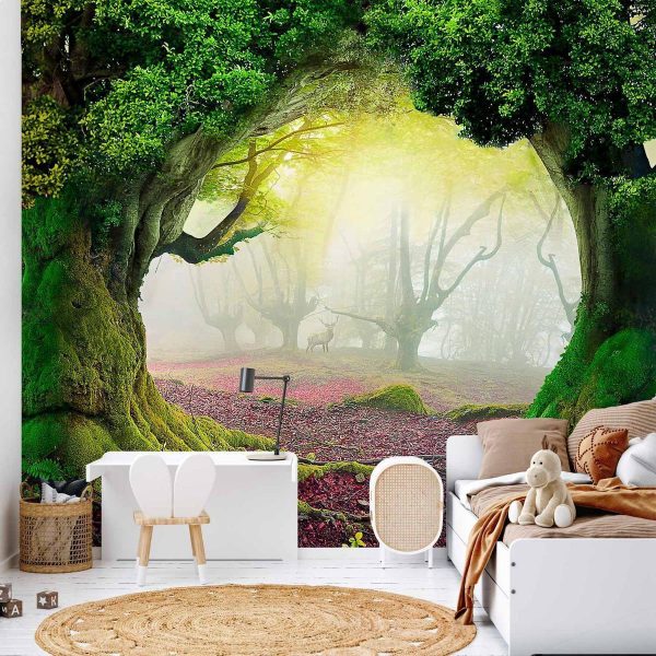Wall Mural - Enchanted forest