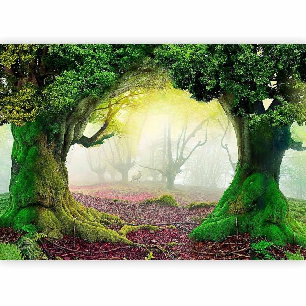 Wall Mural - Enchanted forest