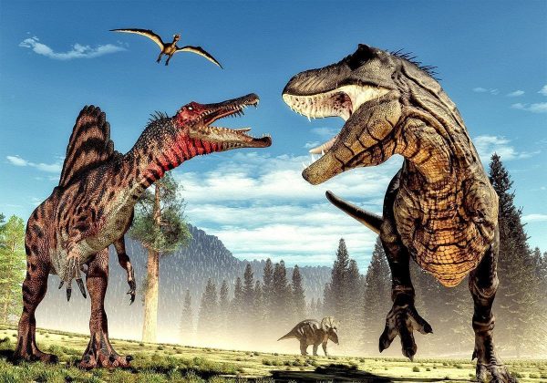 Wall Mural - Fighting Dinosaurs