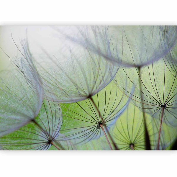 Wall Mural - Fleeting moments