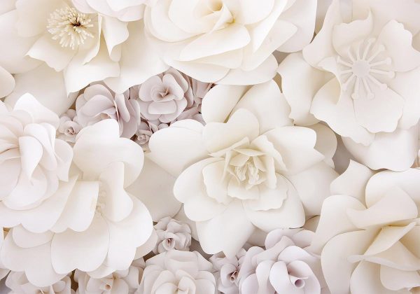 Wall Mural - Floral Display