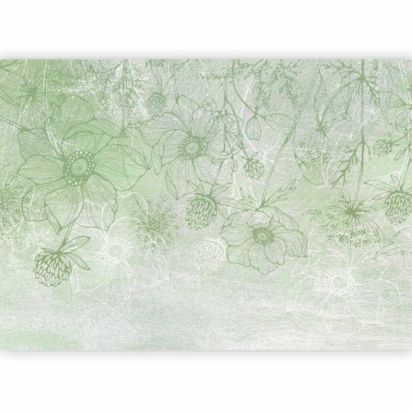 Wall Mural - Flowery meadow - nature with field flowers lineart on green background