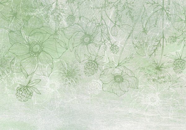 Wall Mural Wallpaper - Flowery meadow - nature with field flowers lineart on green background - Image 6