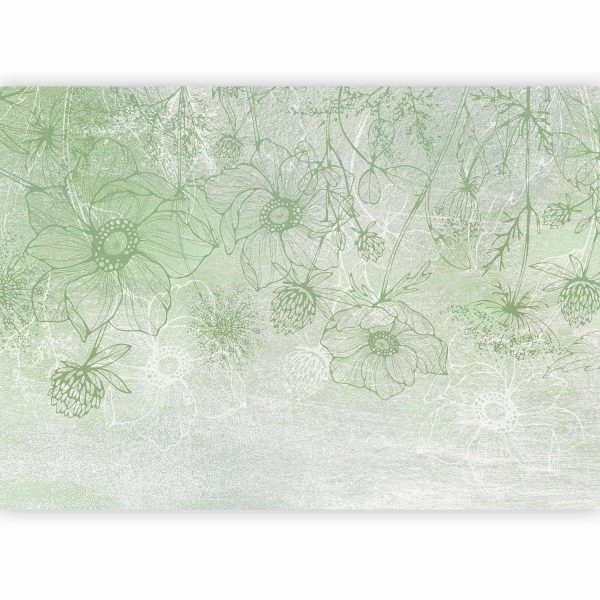 Wall Mural Wallpaper - Flowery meadow - nature with field flowers lineart on green background - Image 5