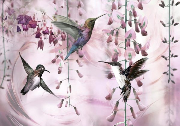 Wall Mural - Flying Hummingbirds (Pink)