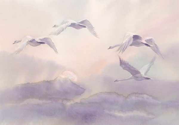 Wall Mural - Flying Swans