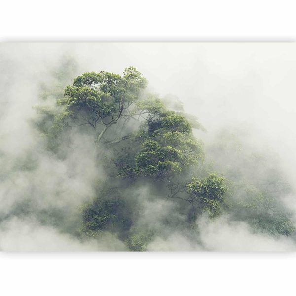 Wall Mural Wallpaper - Foggy Amazon - Image 5