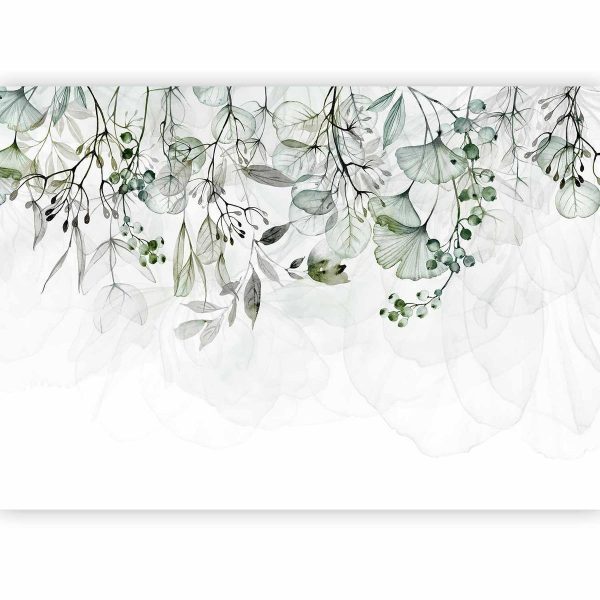 Wall Mural - Foggy Nature - Green