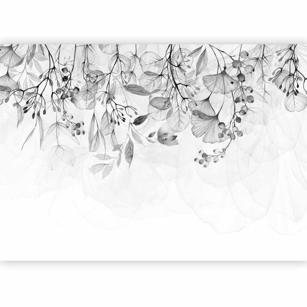 Wall Mural - Foggy Nature - Grey
