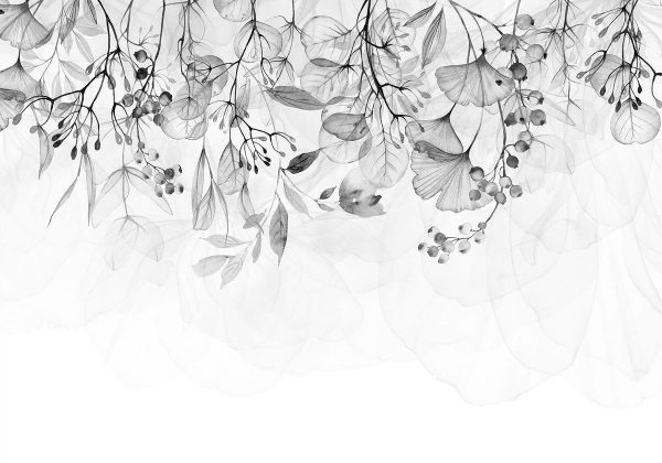 Wall Mural - Foggy Nature - Grey