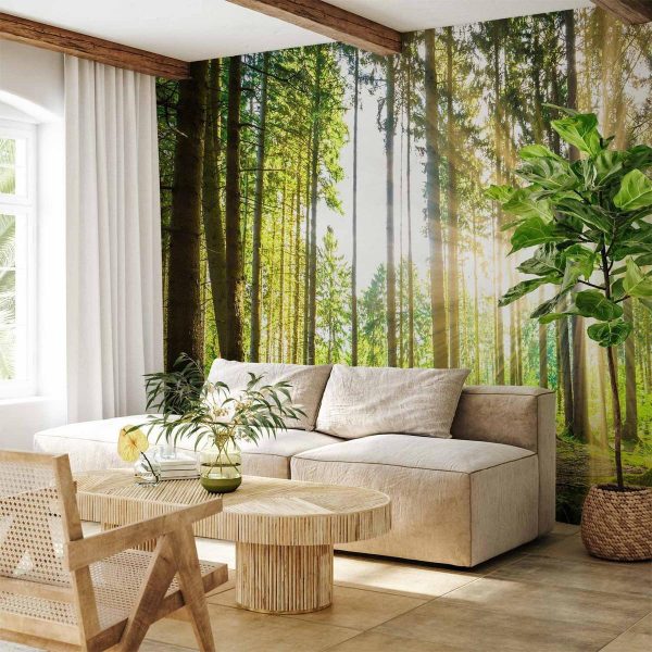 Wall Mural - Forest Tales