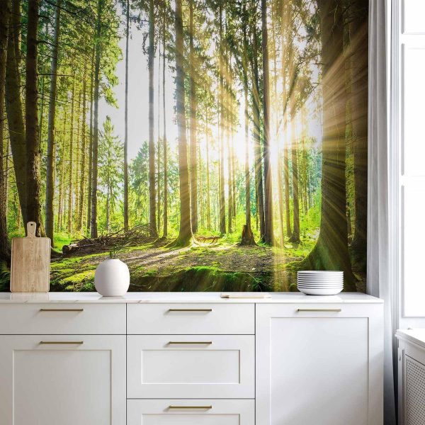 Wall Mural - Forest Tales