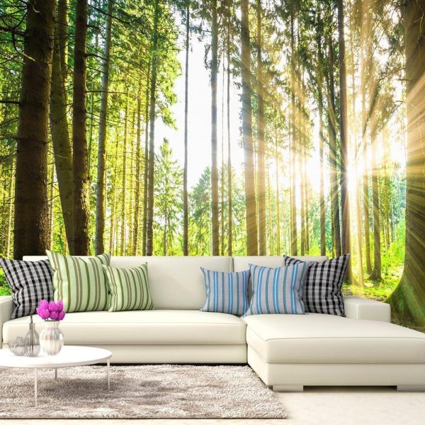 Wall Mural - Forest Tales