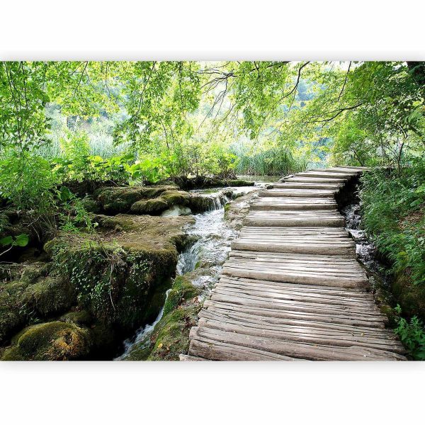 Wall Mural - Forest path