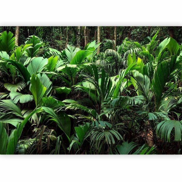 Wall Mural - Freshness of the Jungle