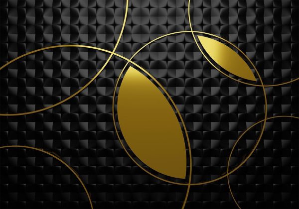 Wall Mural Wallpaper - Gilding Zones - Image 4