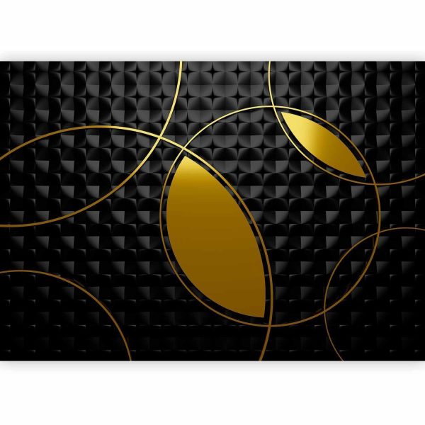 Wall Mural Wallpaper - Gilding Zones - Image 3