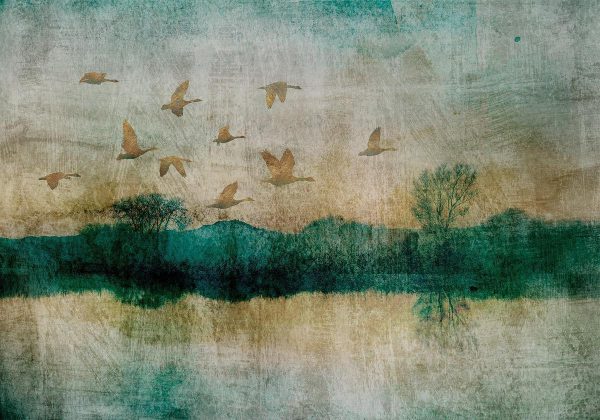 Wall Mural - Golden Ducks