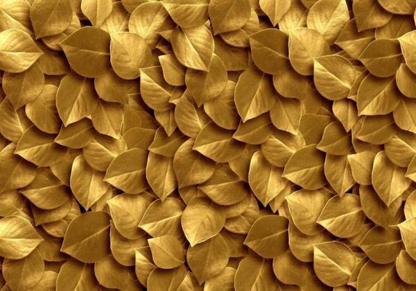 Wall Mural - Golden Leaves