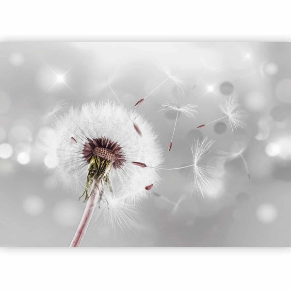 Wall Mural Wallpaper - Grasping the Invisible - Image 4