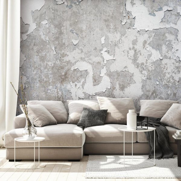 Wall Mural - Greek Frescoes