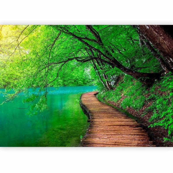 Wall Mural - Green peace