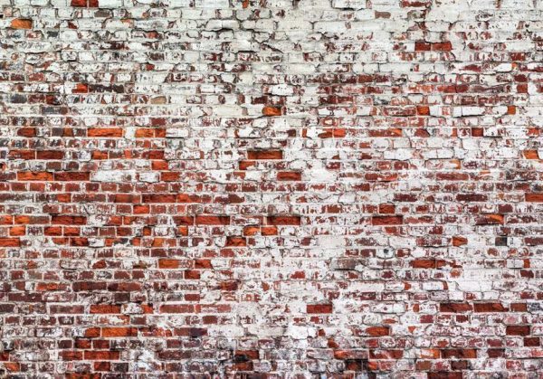 Wall Mural - Her Highness The Brick