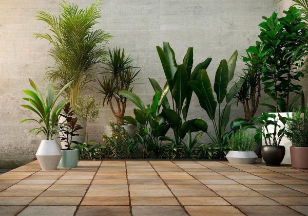 Wall Mural - Home Garden