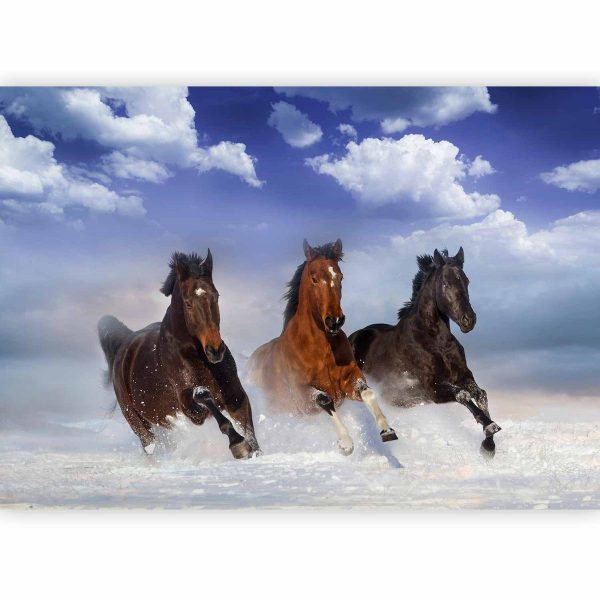 Wall Mural - Horses in the Snow