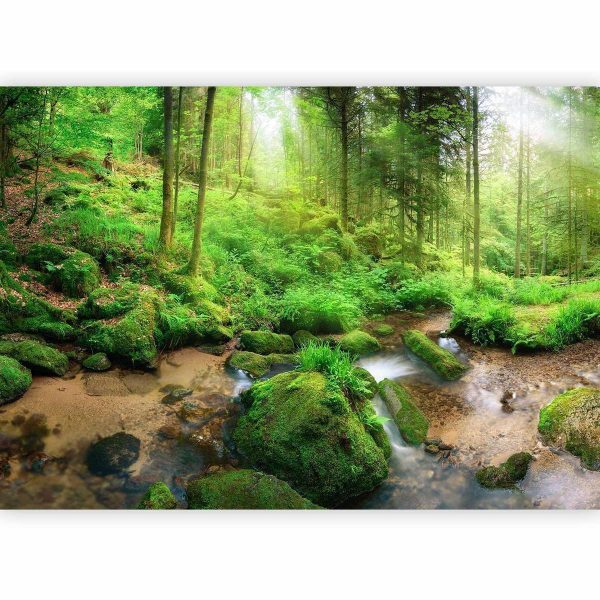 Wall Mural - Humid Forest