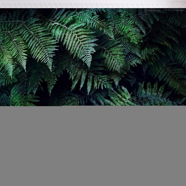 Wall Mural - In the Thicket